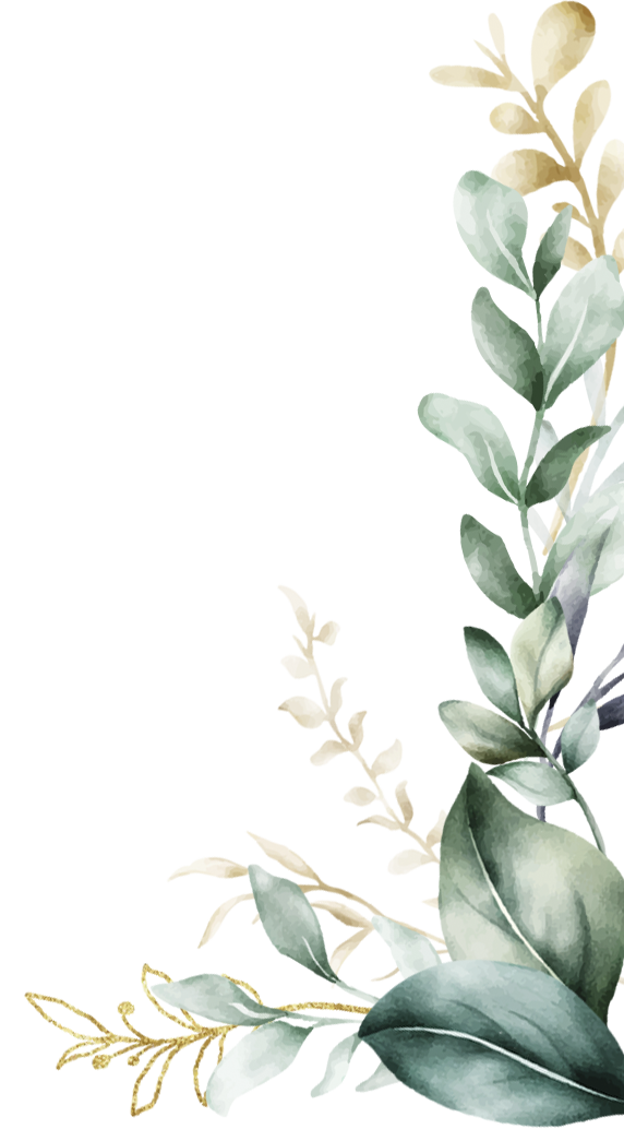 Decoración derecha