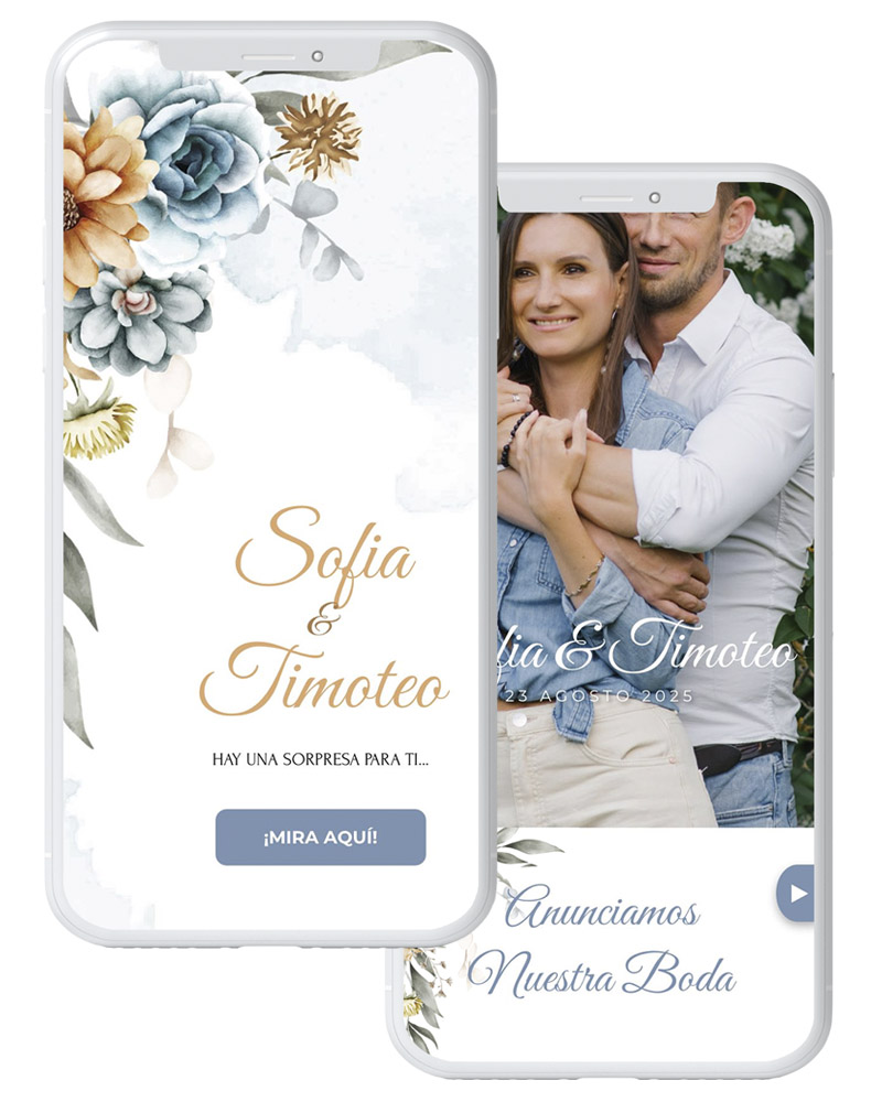 Boda Spring