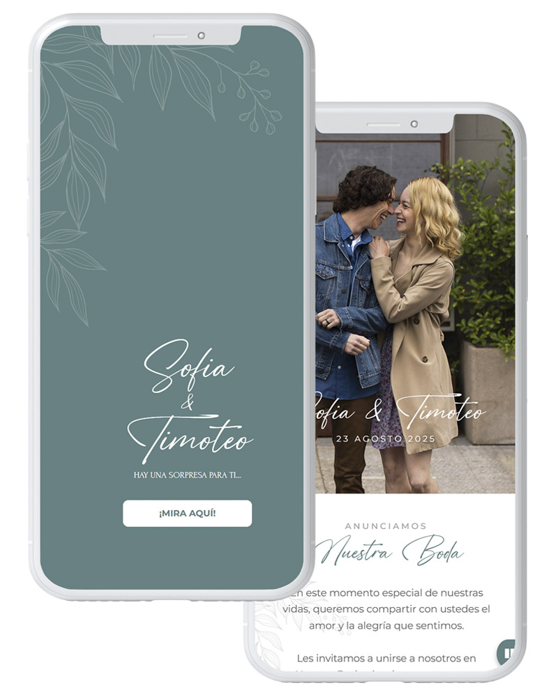 Boda Minimalist
