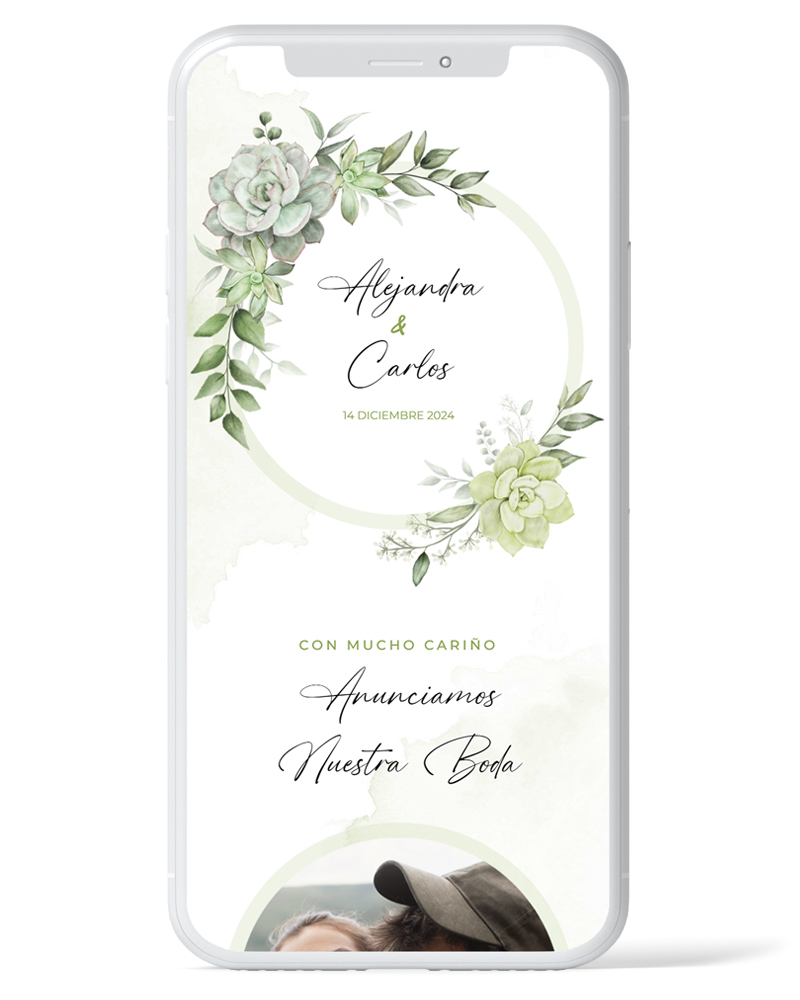 Boda Succulent
