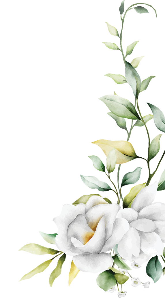 Decoración derecha